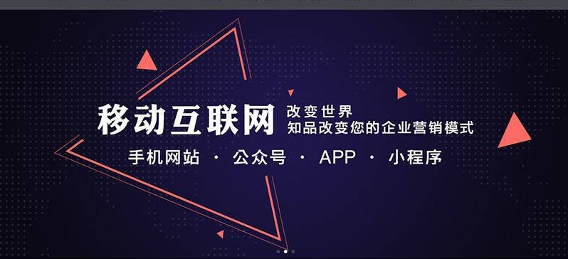 龙港手机网站